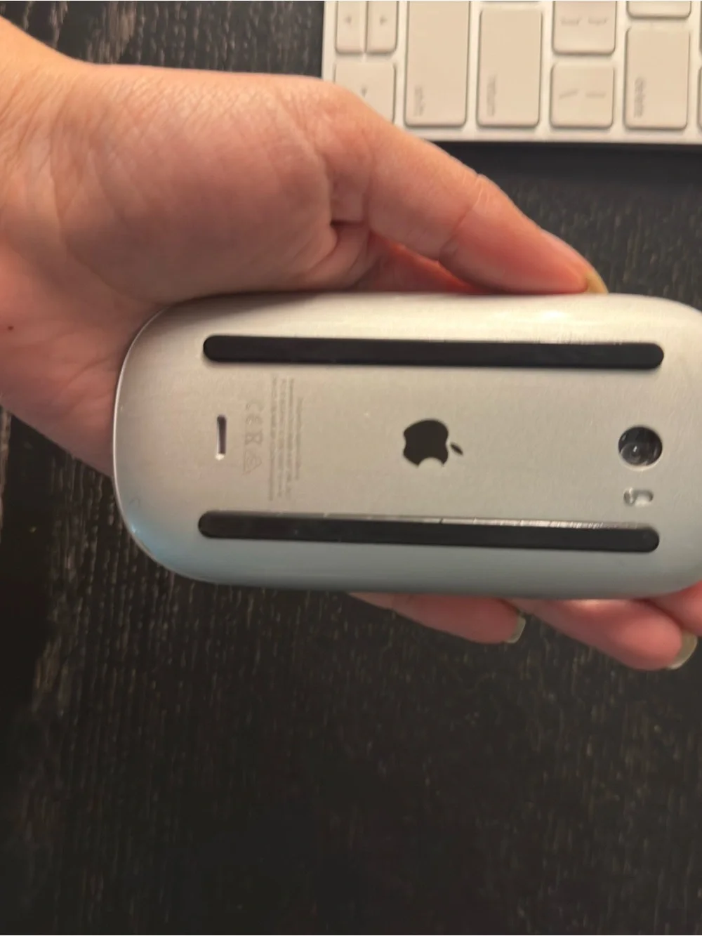Apple White and Silver Wireless Magic Mouse and Keyboard